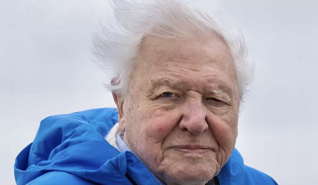 【祝】御大99歳！まだ現役とかマジかよ…凄すぎワロタｗｗｗｗｗ