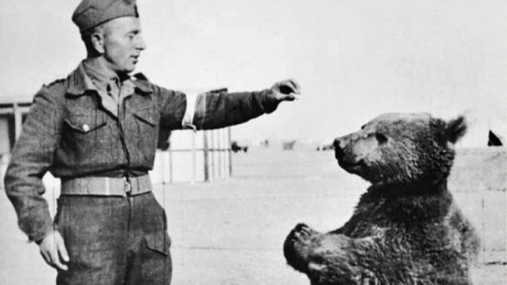 WW2でナバホ語が最強暗号に！解読不能で日本軍撃破！