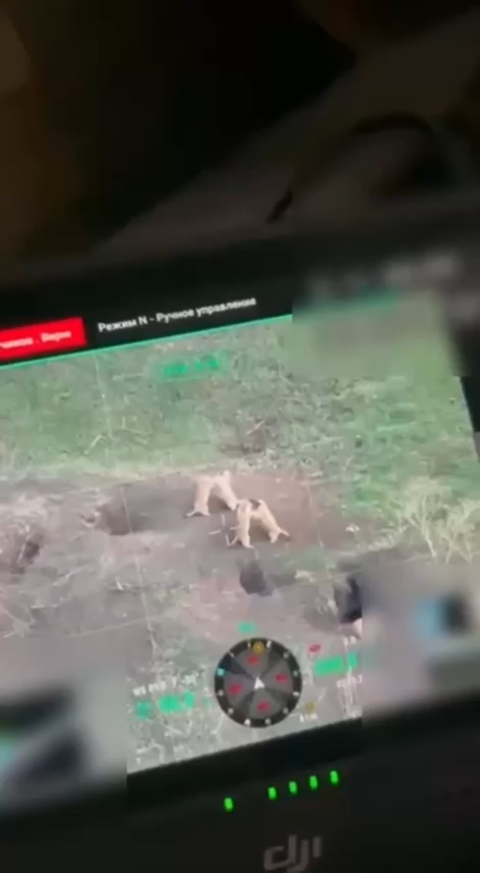 ウクライナ前線でマーモット同士がガチバトル！ドローン映像が捉えた決死の戦い