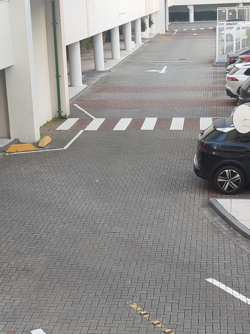 【写真】 歩行者横断帯はどこにも連れて行かない