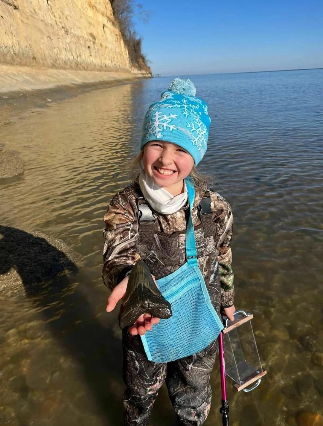 【速報】9歳女児、1500万年前のメガロドン巨大歯を発見！場所はあの湾！