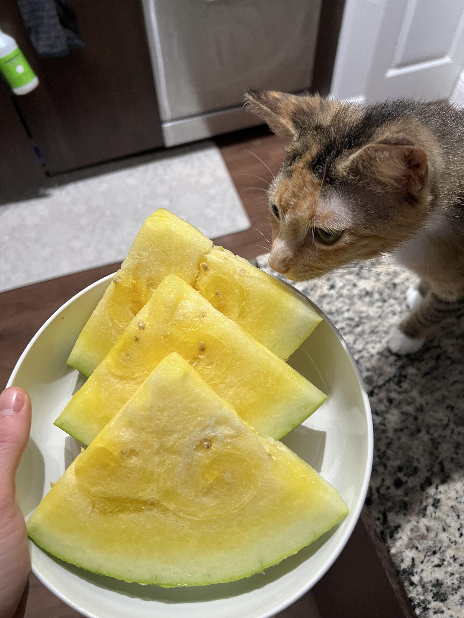 衝撃！スイカの中身が黄色かった…一体なぜ？