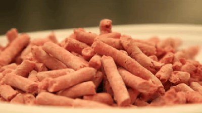 米国でピンクスライムがまさかの牛肉に分類された！カナダとEUでは禁止されてるぞ！
