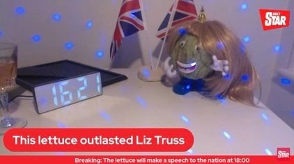 【悲報】イギリス首相、レタスにすら負けるｗｗｗ【2022】