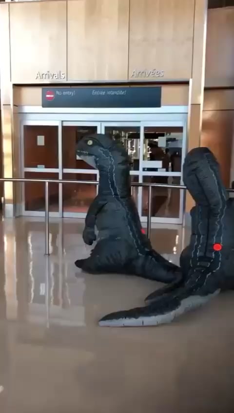 空港でティラノサウルス大襲来！おばあちゃんの逆襲！