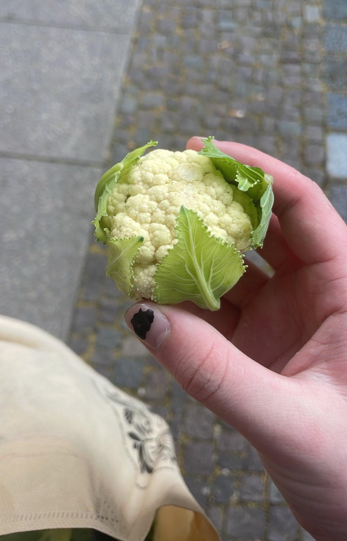 ミニカリフラワーが可愛すぎる件！今週の野菜BOX