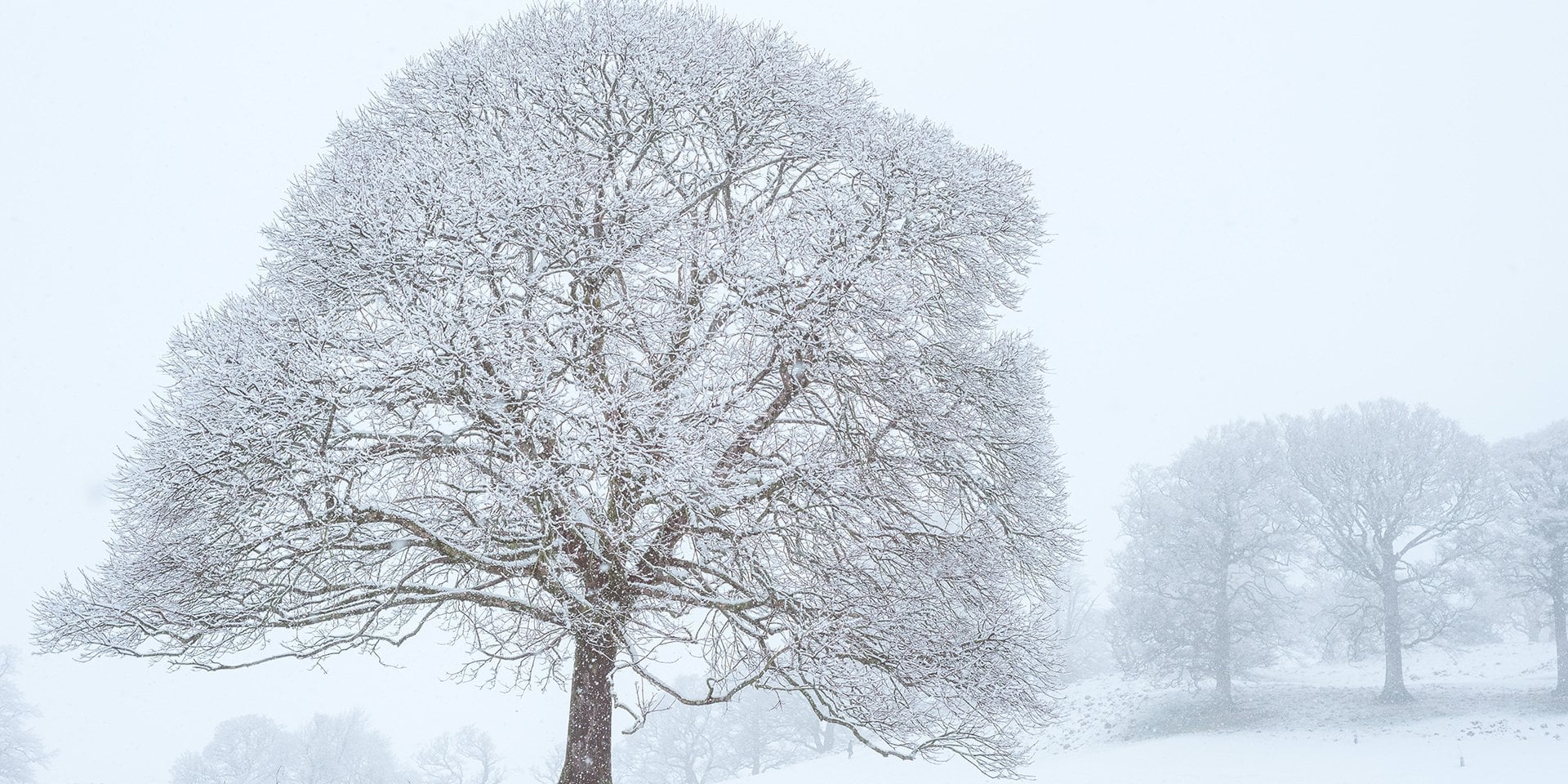 雪の結晶、地上に落ちるのに1時間！マジかよ