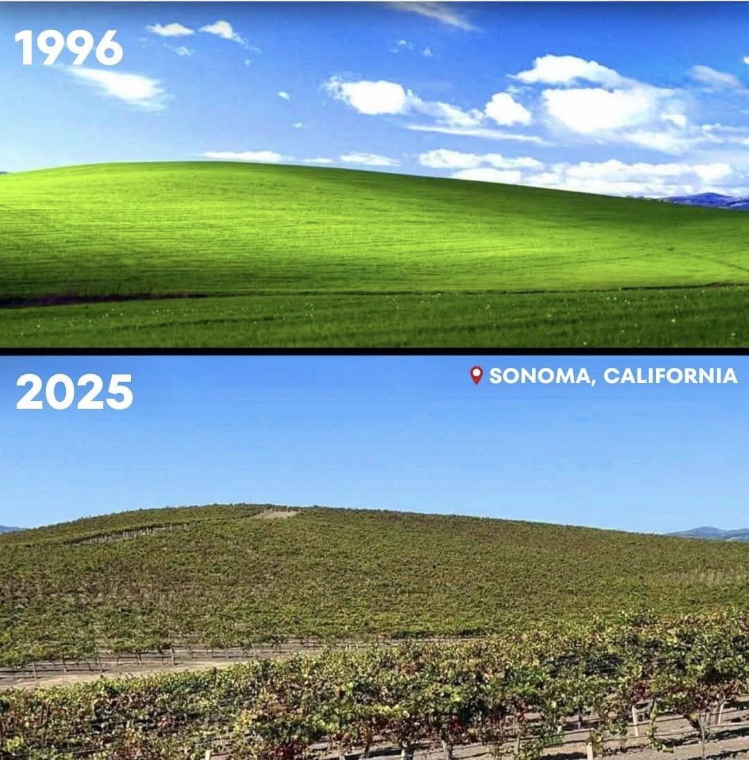 Windows XPの壁紙、96年と2025年で比較してみた結果ｗｗｗｗｗ