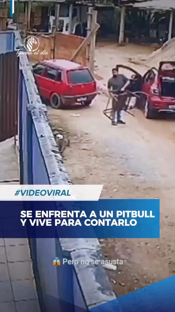 【悲報】メキシコでピットブルに襲われた男性、まさかの行動で撃退してしまう…