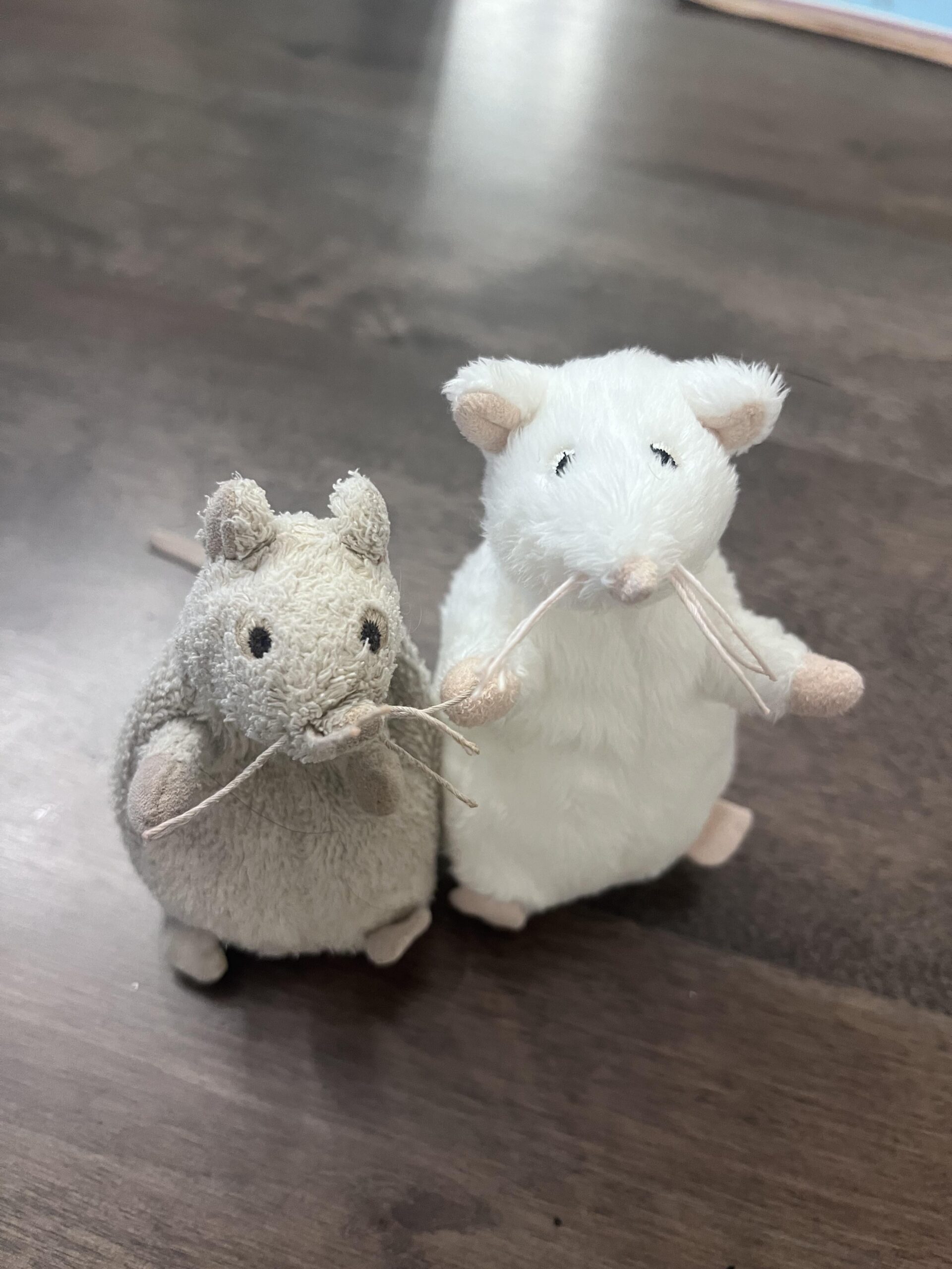 娘のお気に入りネズミぬいぐるみと全く同じ予備、一度も使われずｗｗｗ