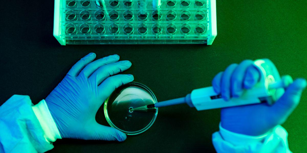最強生物「コナン菌」発見！人類より長生き確定…放射能も余裕