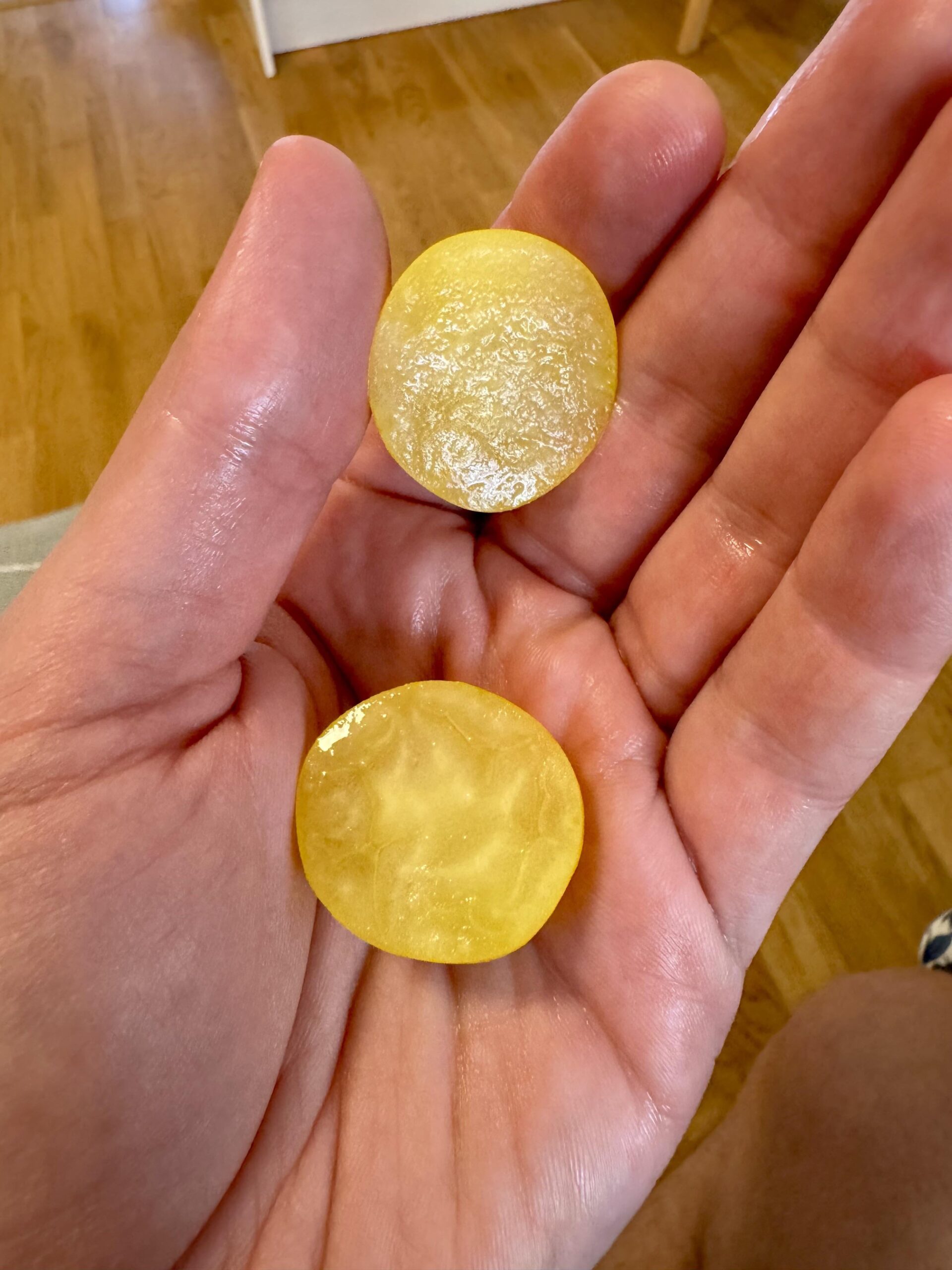 【悲報】家庭菜園トマト、まさかの種なし…品種不明で騒然