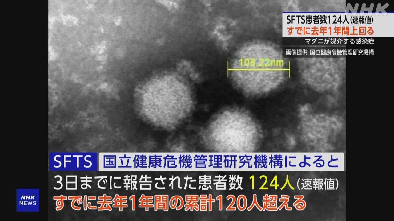 
SFTS患者数、昨年累計超え：マダニ媒介感染症の現状と対策
注意喚起：SFTS（重症熱性血小板減少症候群）感染者数が昨年を上回る
マダニ媒介感染症SFTS、全国で感染拡大か？ 最新患者数と予防法
SFTS感染者数増加：マダニ対策と感染症予防の重要性
速報：マダニ媒介のSFTS患者数、昨年一年間を上回る
