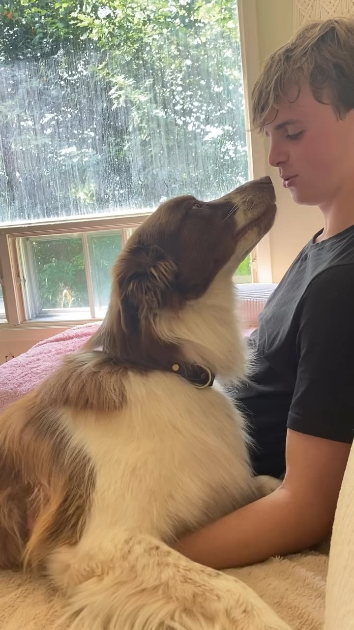 【朗報】キスしただけで赤面メス化ｗｗｗｗｗｗｗｗｗｗｗｗ