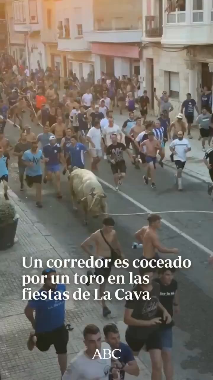 【悲報】スペインの祭り、牛の尻叩いた男がガチギレ頭突きされる