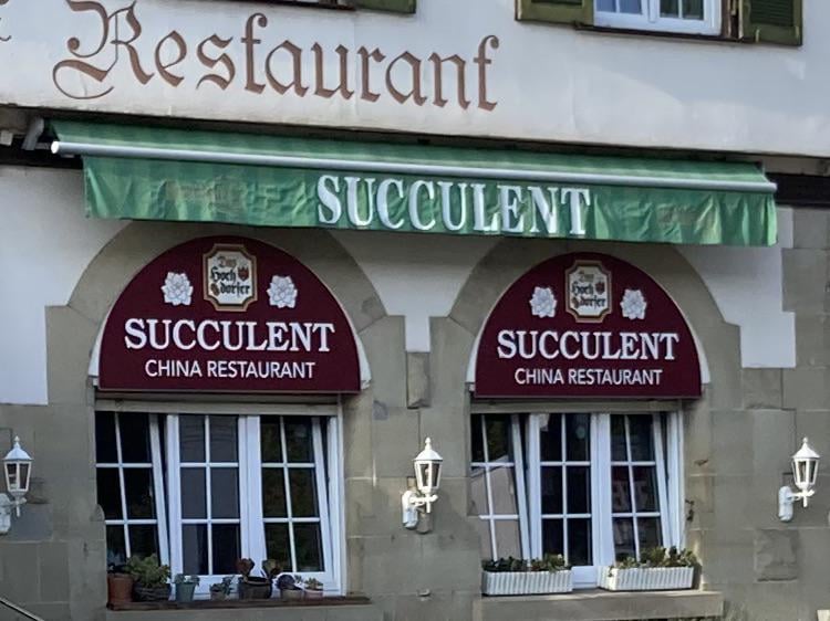 近所の中国料理店、まさかの店名が「Succulent」www