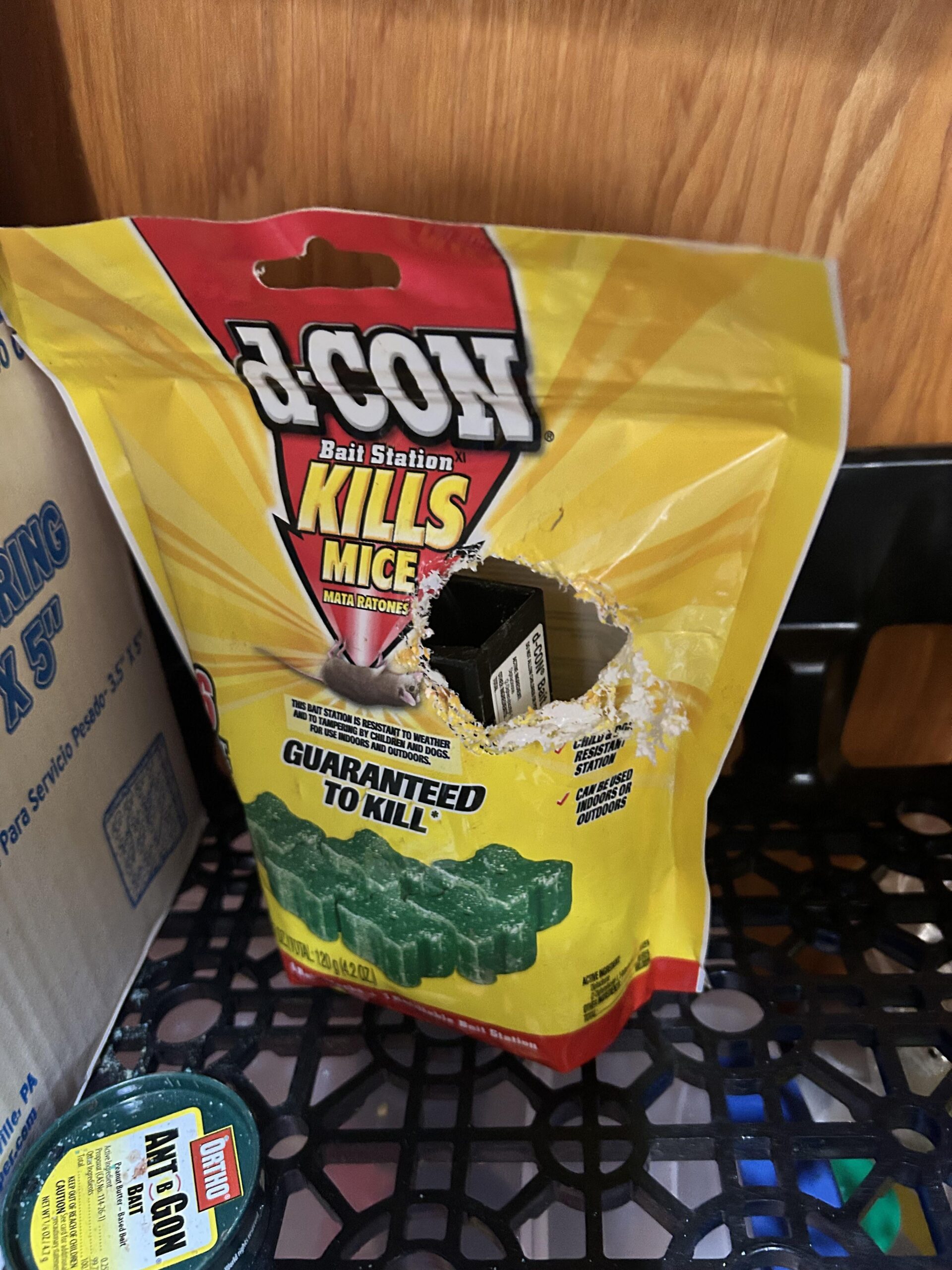 【悲報】ネズミさん、袋を食い破り殺鼠剤を爆食してしまう