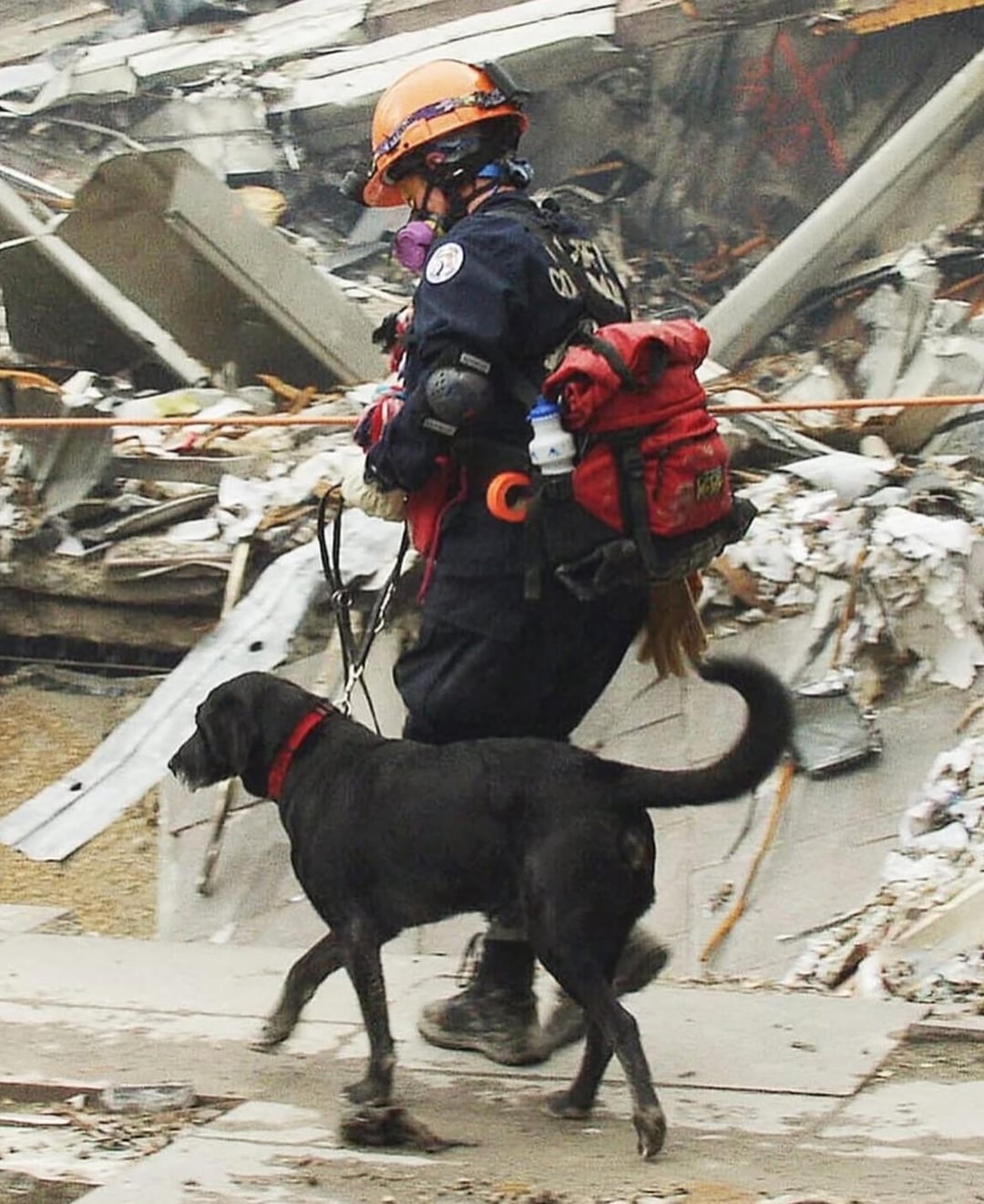 911の救助犬、遺体ばかりで落ち込む→作業員がニセ救助で犬の士気UP