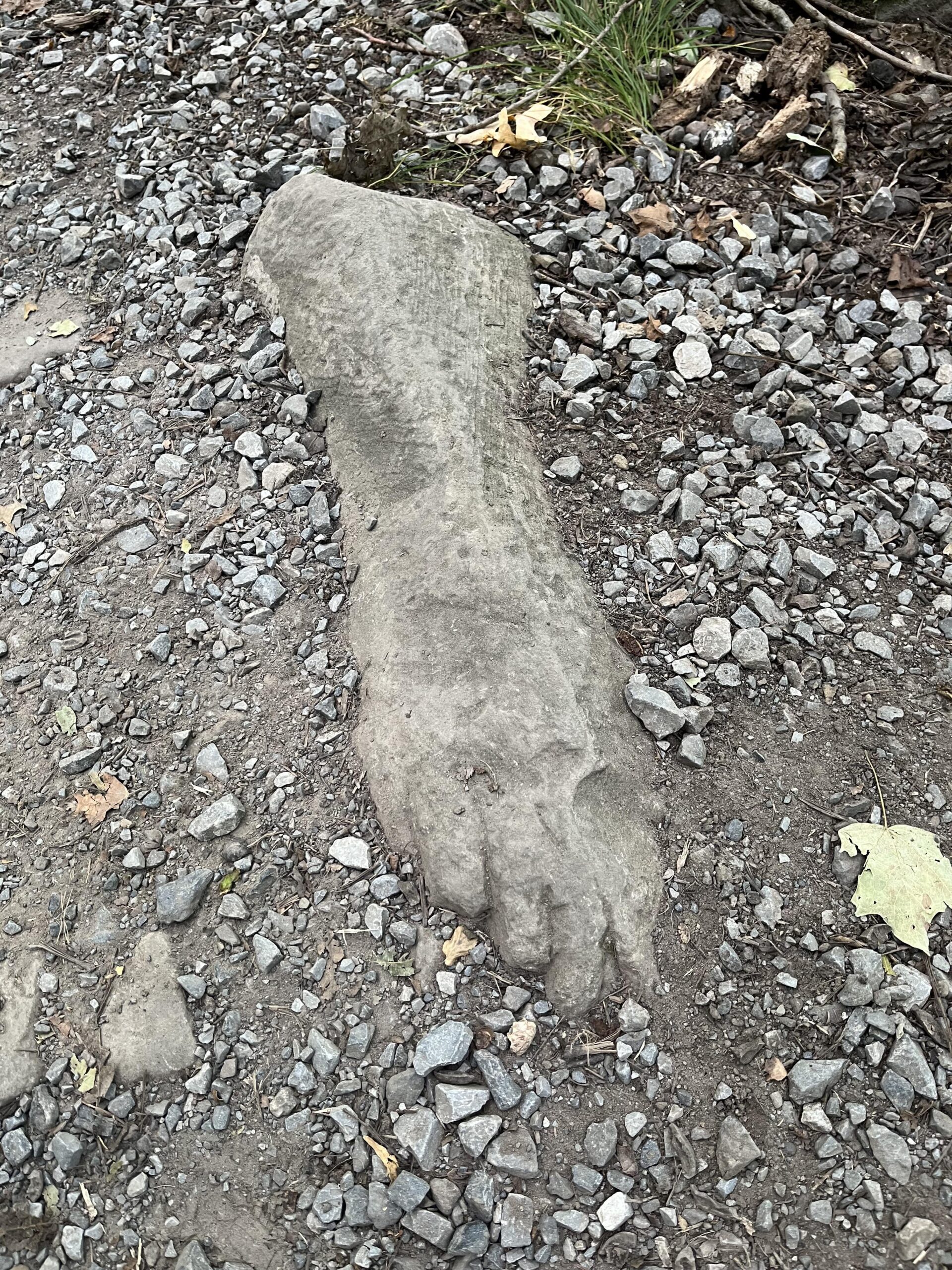 【画像】マジかよ…海岸で「足にそっくりな岩」見つかる！奇跡すぎると話題