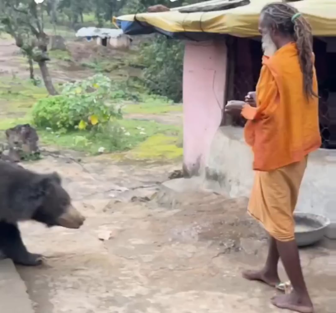 【ほのぼの】インド人、ナマケモノに calmly share foodしてしまう動画が話題に