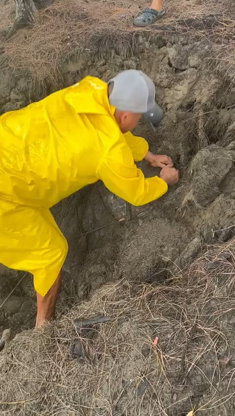 浜辺でハマったカメを救出大作戦ｗｗｗｗｗｗ