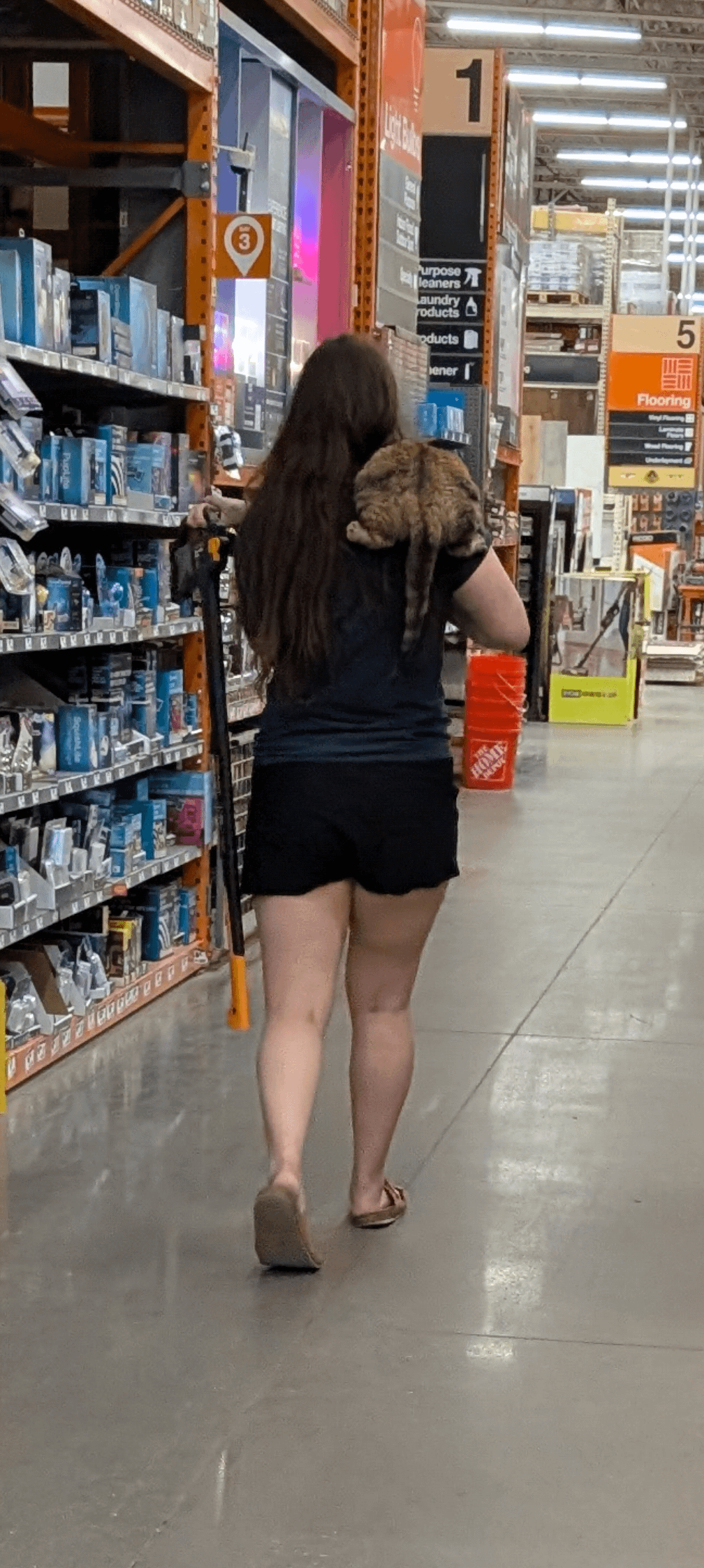 【悲報】女さん、猫連れてホームセンターで斧を購入する姿を激写される