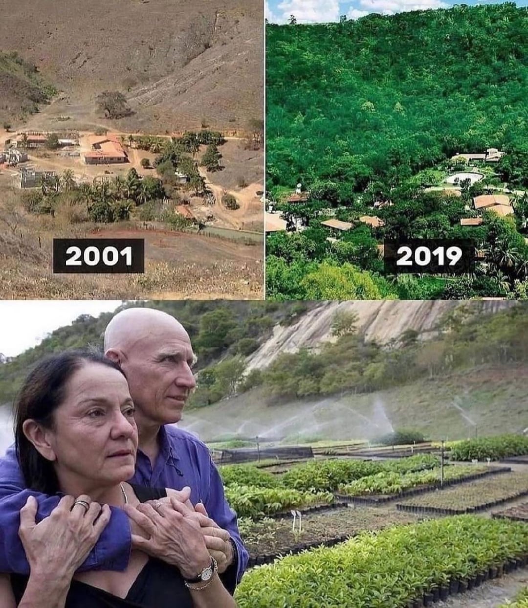 【衝撃】夫婦で200万本植林 → 20年で森が復活した結果…
