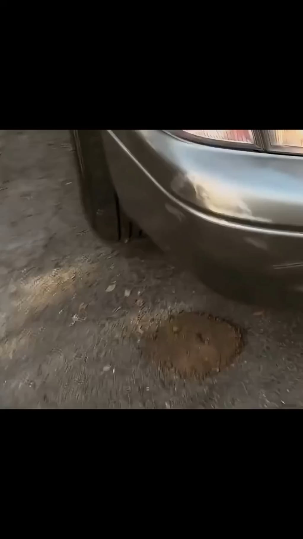 【閲覧注意】悪魔の鉄cladカブトムシ、車に轢かれても生存…耐荷重39000倍の秘密