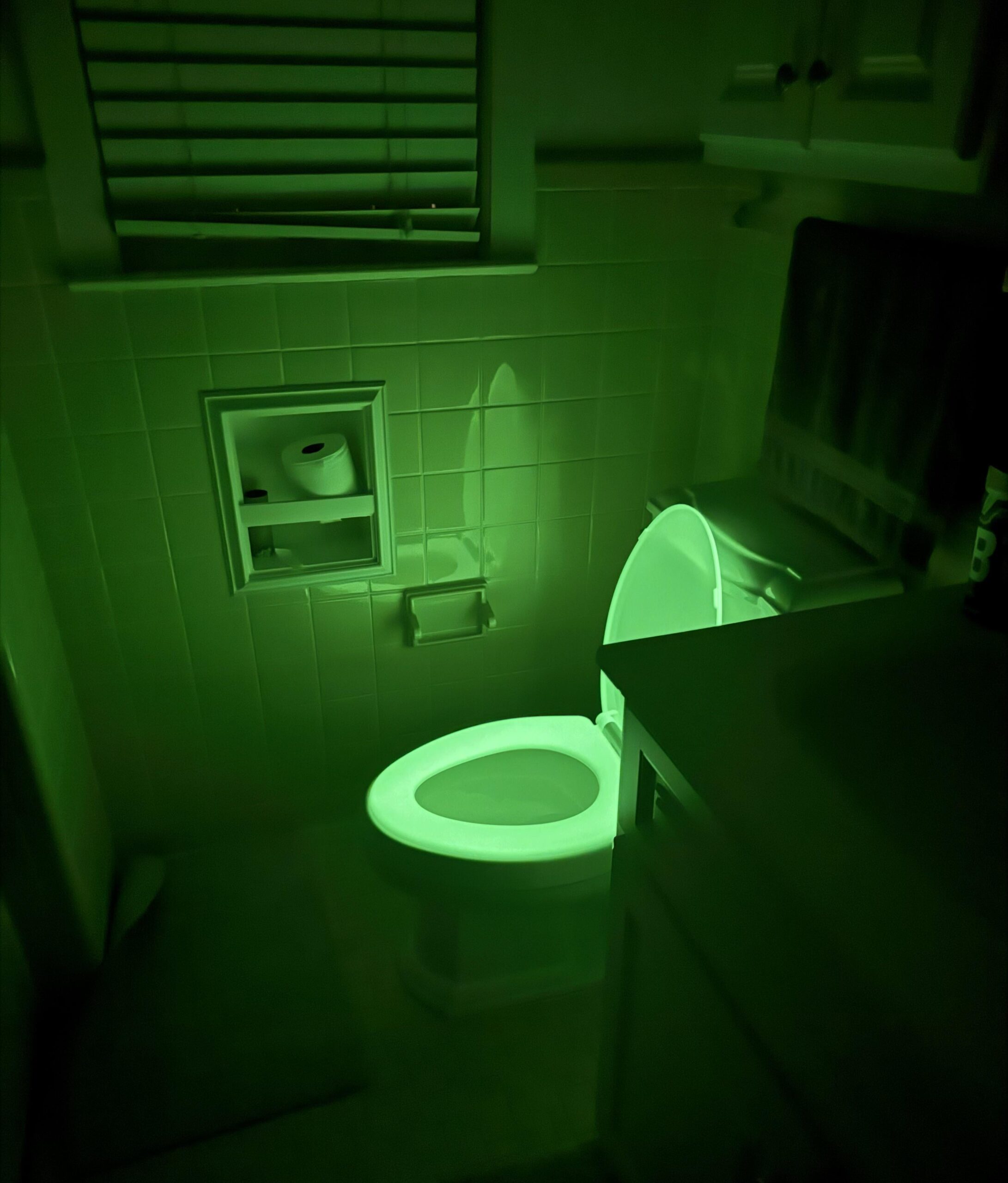 引っ越した家のトイレが光るんだがwwwwww