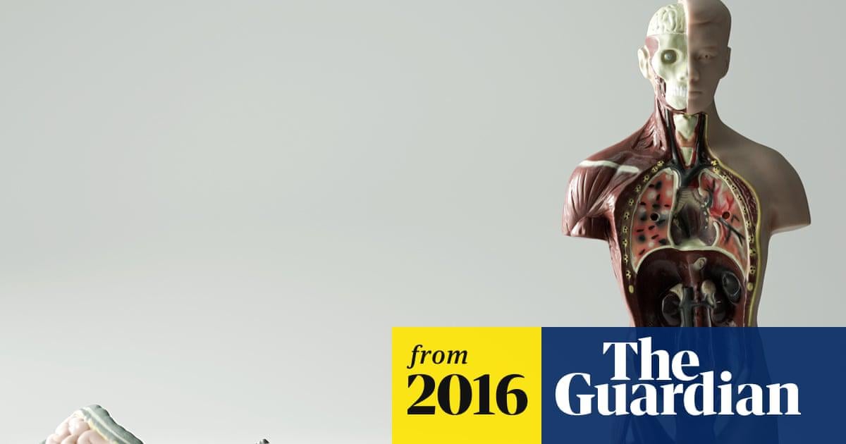 【激レア】内臓完全反転人間、1万人に1人存在ｗｗｗｗｗｗ