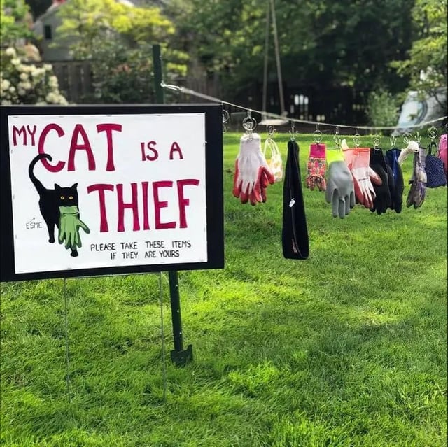 【悲報】猫、近所のものを盗みすぎて飼い主が謝罪看板を設置する事態に…