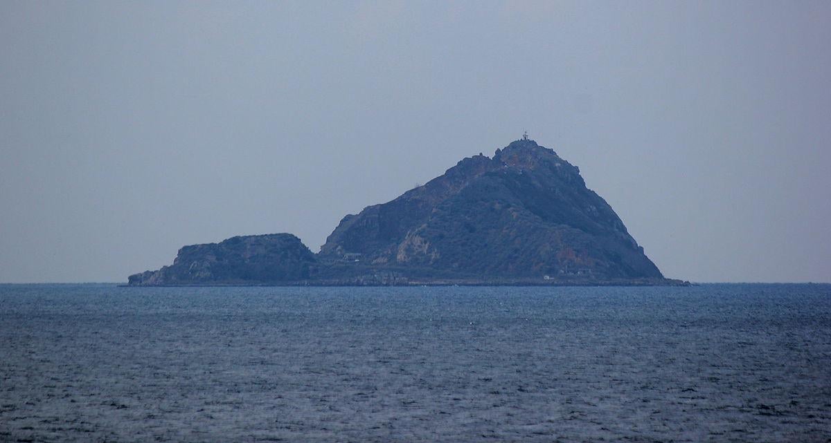 【虐殺】イスタンブールの犬8万匹を無人島に追放、餓死＆溺死…1911年の悲劇