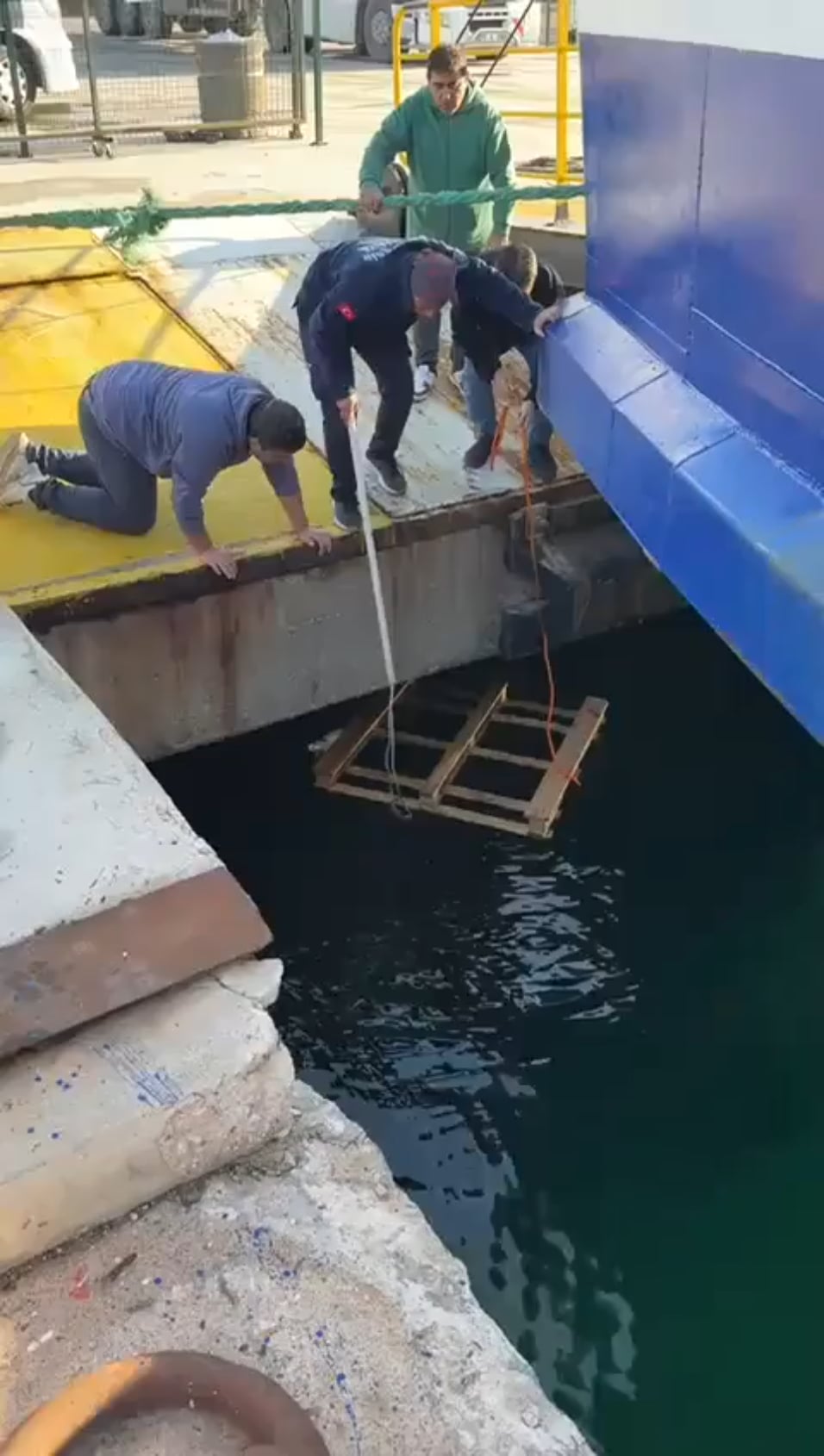 子猫救出大作戦！海外で感動の救出劇！