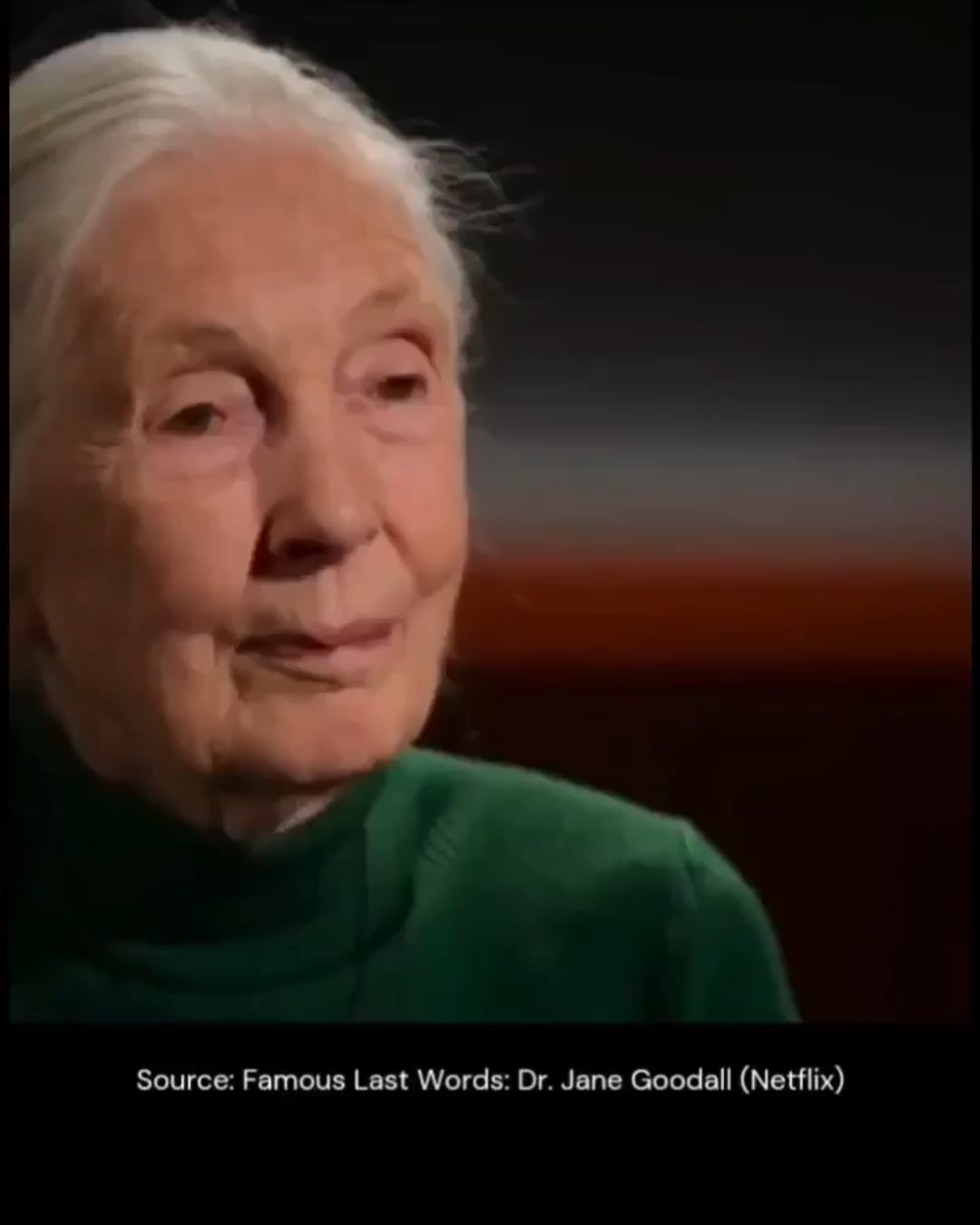 【衝撃】ジェーン・グドール博士、死後公開インタビューで衝撃告白…2025年に収録