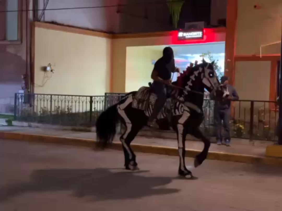 メキシコの死者の日に馬の骸骨コスチュームだと!?