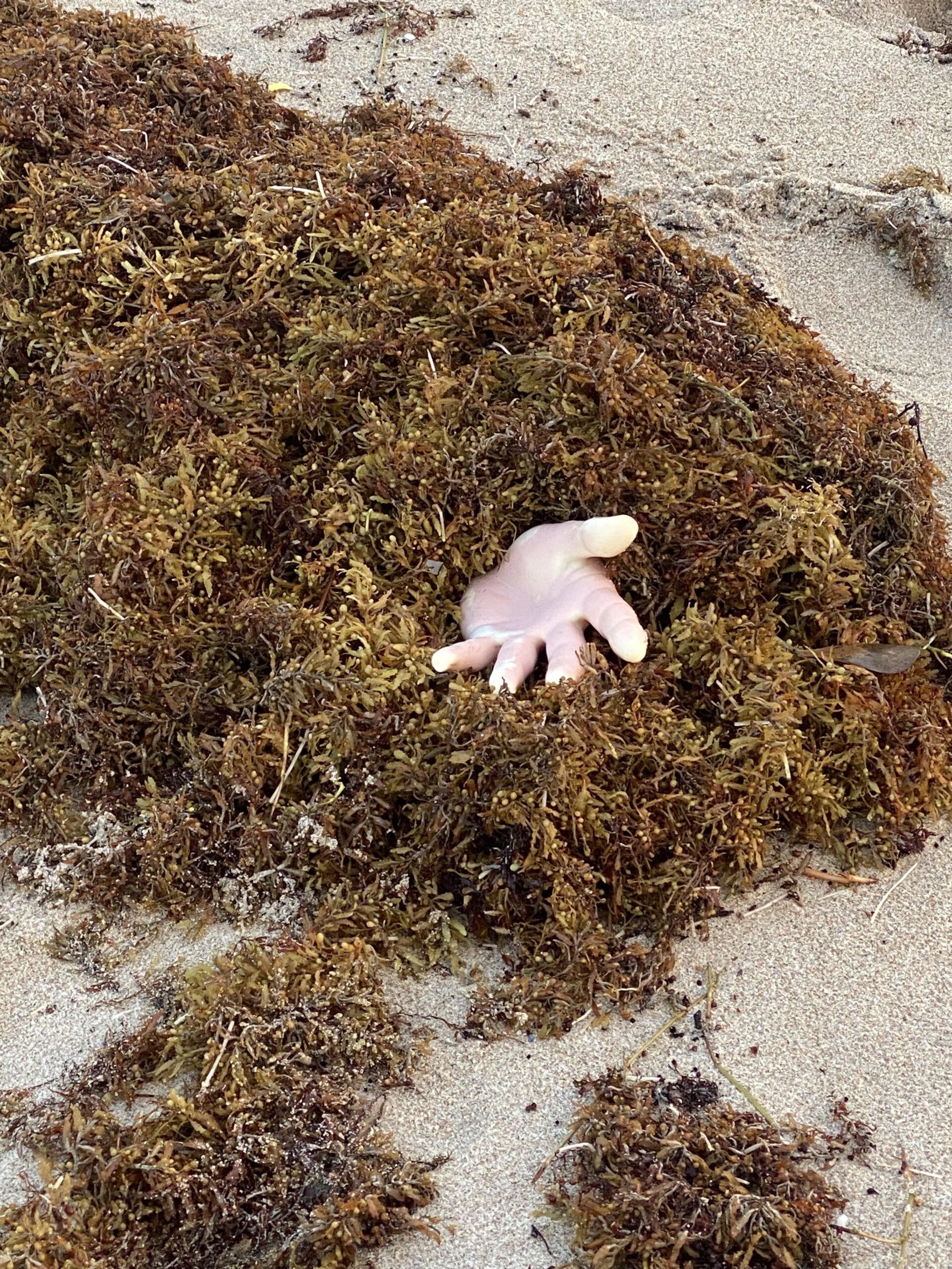 【衝撃】嵐のあと海岸にマネキンの手が漂着…！その真相とは？