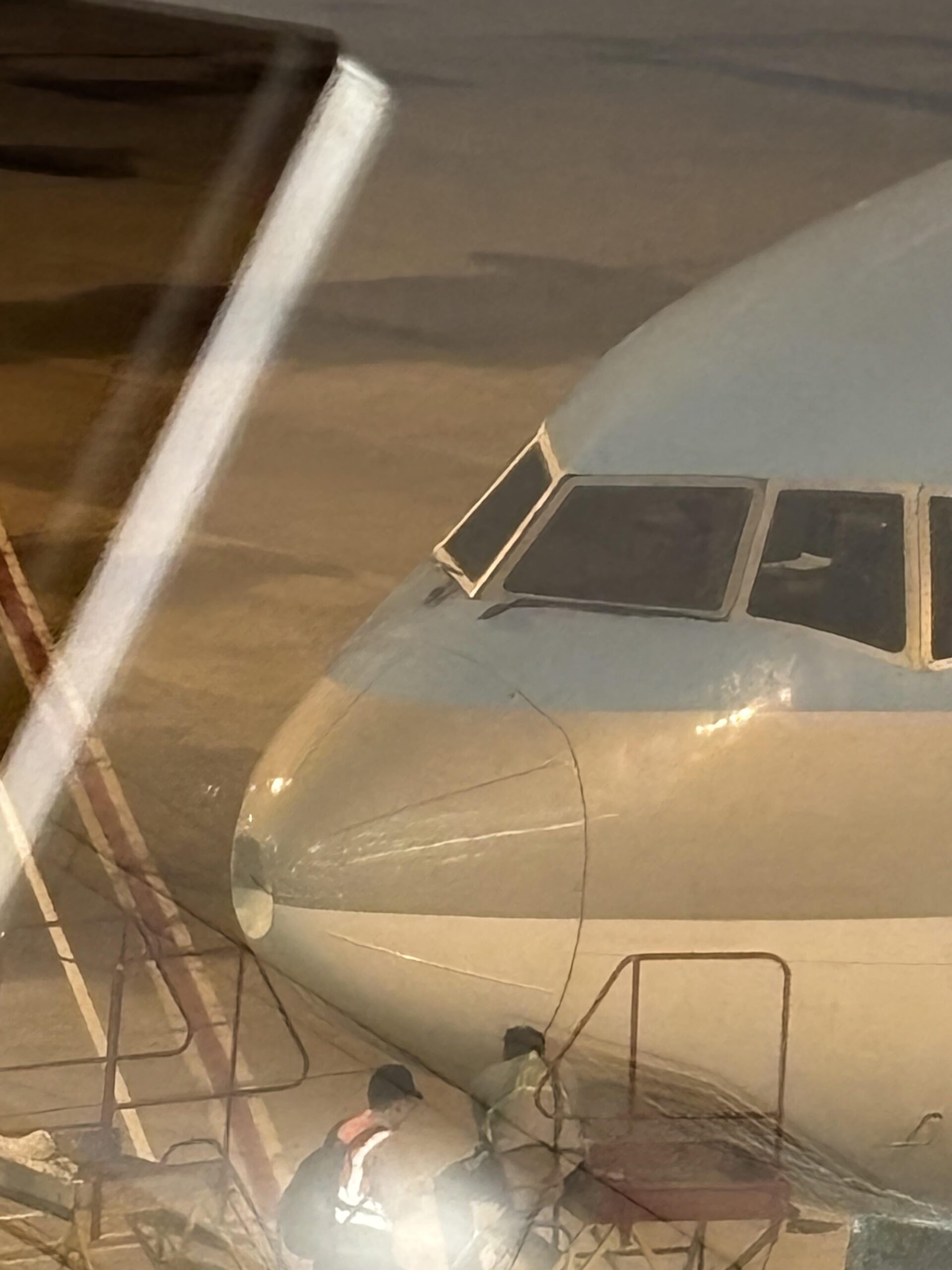 着陸機に鳥激突！機首ベッコリでワロタｗｗｗ