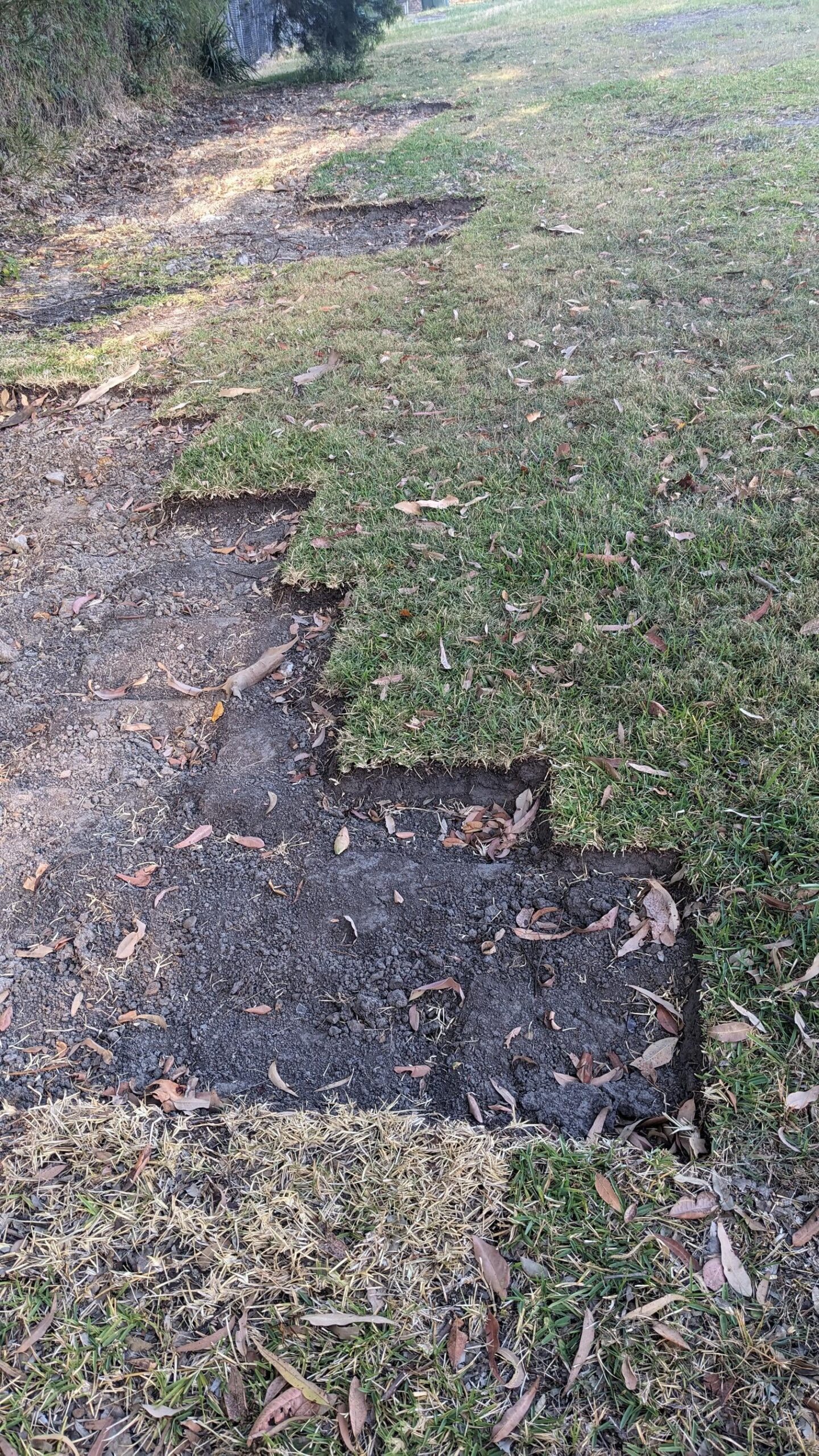 【悲報】近所の公園から芝生が盗まれる事件発生…住民困惑