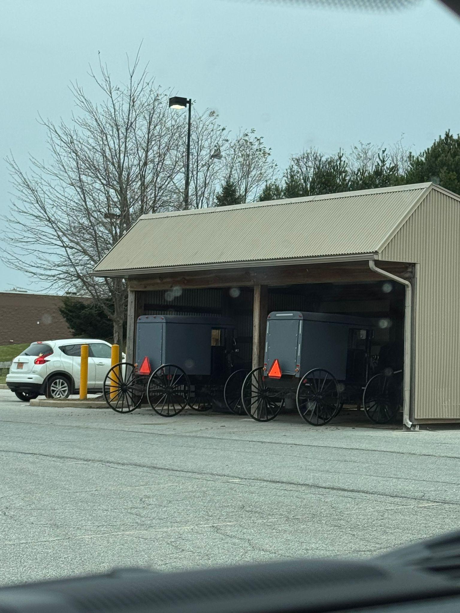 ウォルマート、アーミッシュ向けバギー専用駐車場を設置www