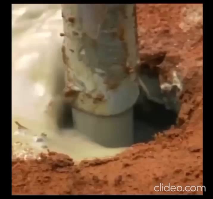 【衝撃】放棄されたアリ塚にセメント注入 → 地下8mに巨大都市が…！