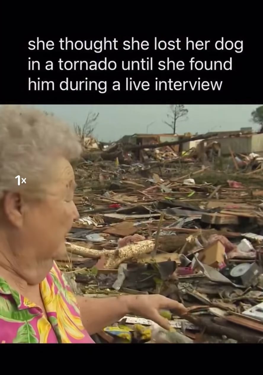 【感動】竜巻で家を失ったお婆ちゃん、TV生放送中に瓦礫の中から愛犬を発見…！