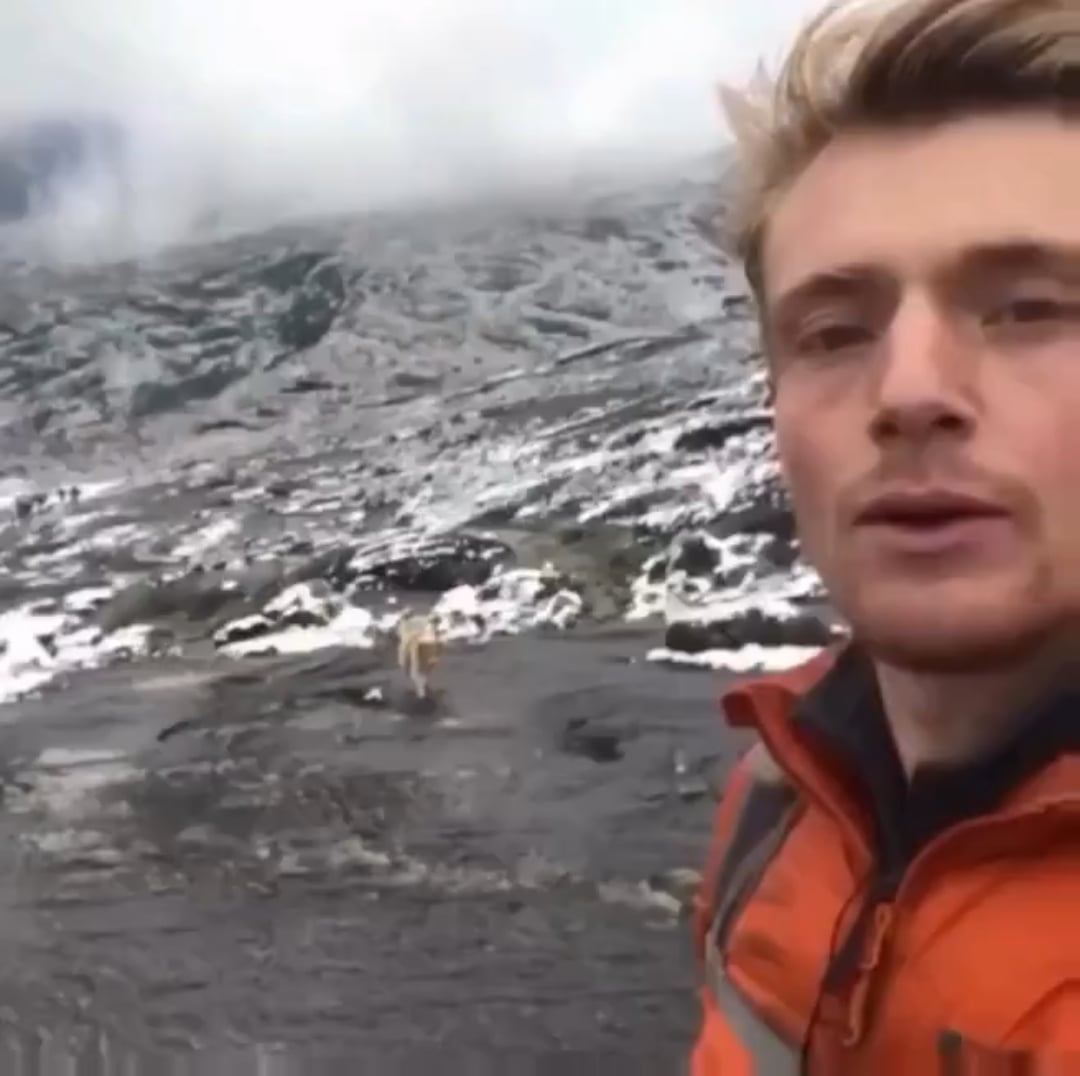 ペルー標高4180mで遭難したハイカー、霧の中から現れた野良犬に救われる