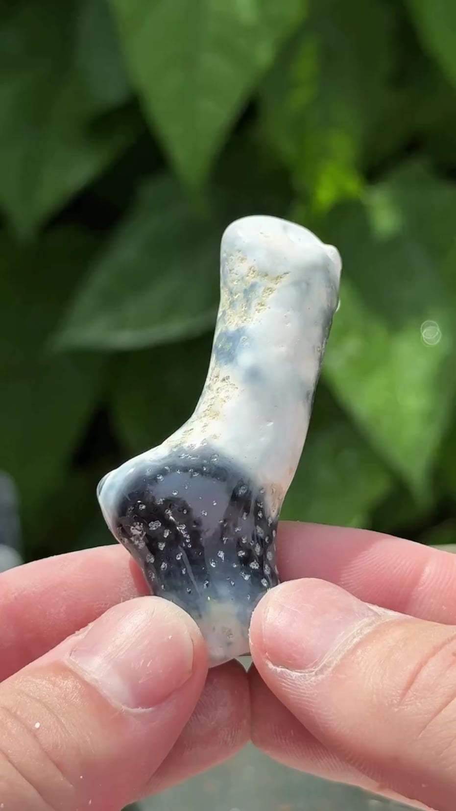 【衝撃】100万年前のサンゴから時間が保存されていた事が判明！