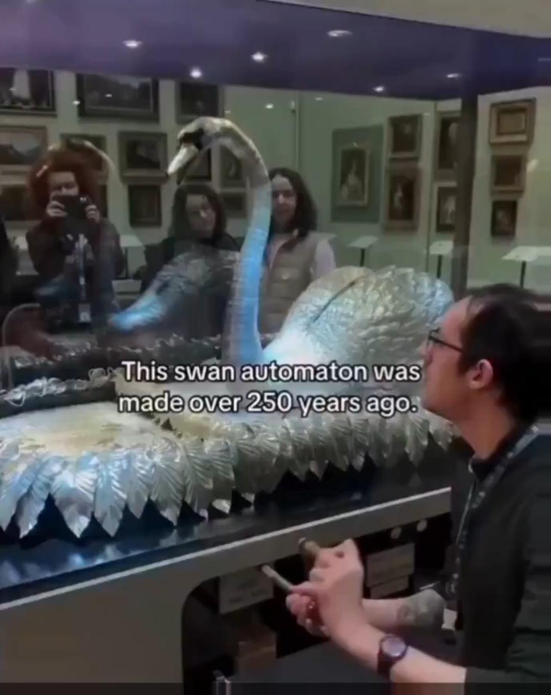 【動画】250年前の機械仕掛けの白鳥がマジで生きてるみたいだと話題