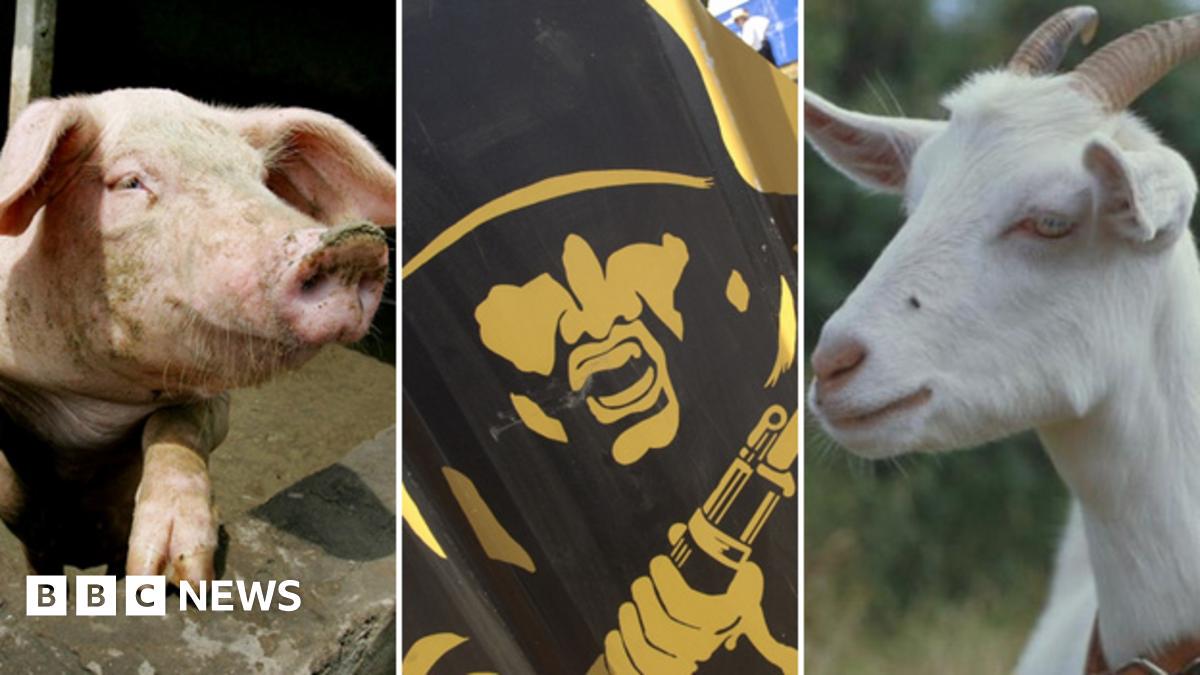 【閲覧注意】米軍衛生兵、訓練で生きたヤギをマジで撃って救命させる模様