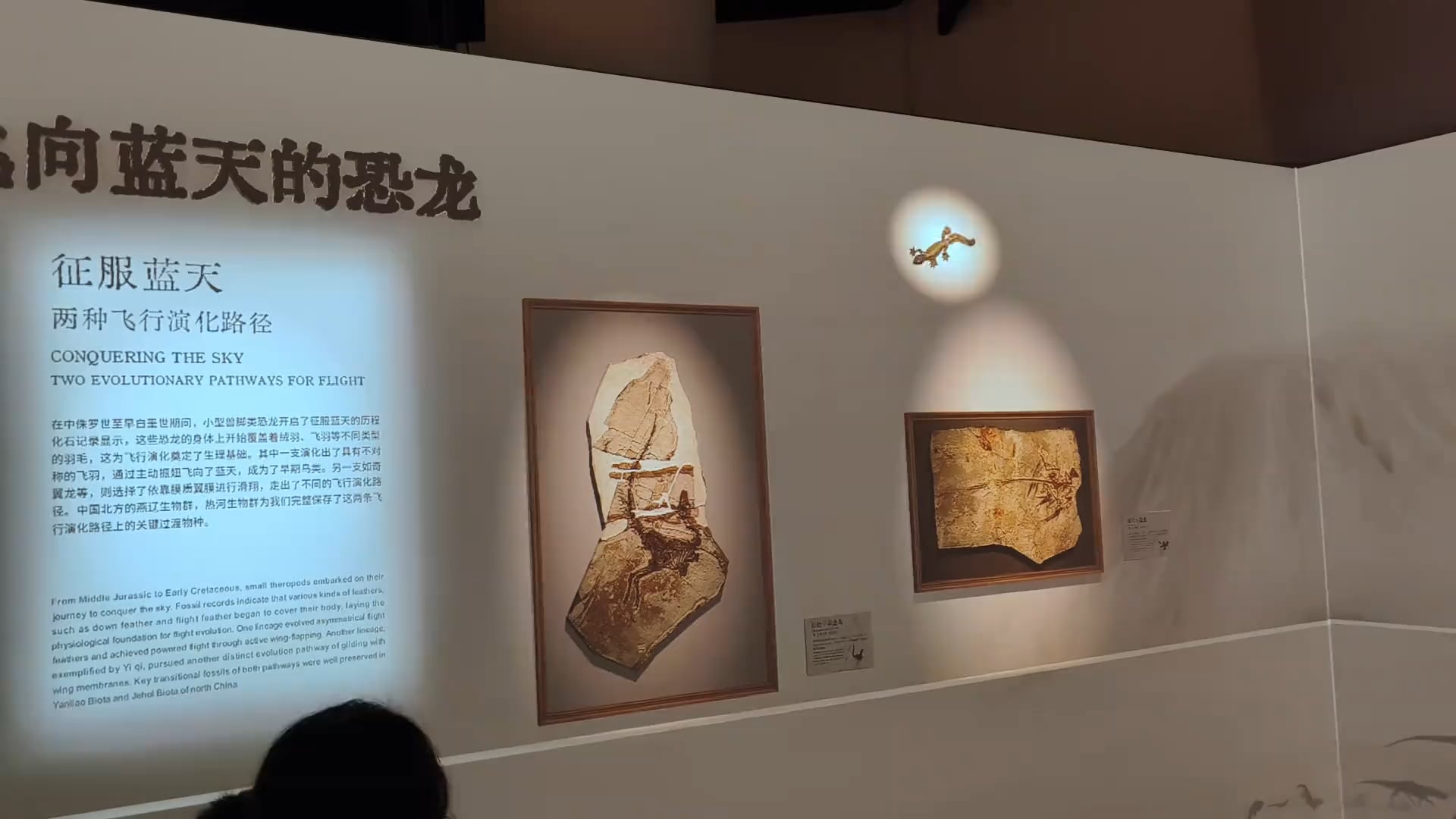 【悲報】恐竜博物館、3Dで蘇りすぎてヤバい事態に…