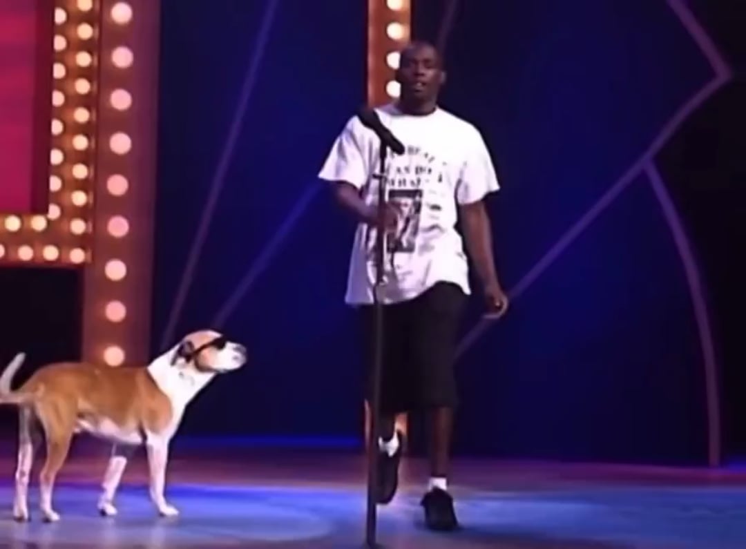 アポロシアターで犬とラップ披露 → 観客が熱狂！あの辛口で有名なアポロ観客がまさかの大絶賛