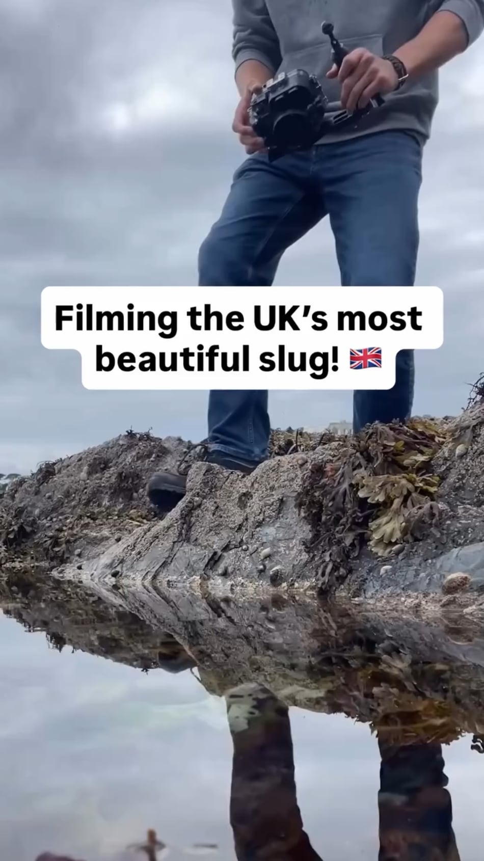 【閲覧注意】マジか…虹色ナメクジとかいうヤバい生物が発見される…