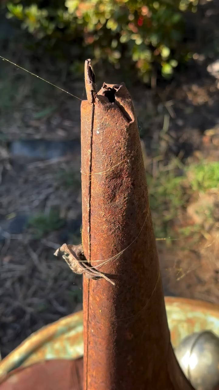 海外で発見されたとんでもねぇ蜘蛛の巣、強度に世界が震えた！