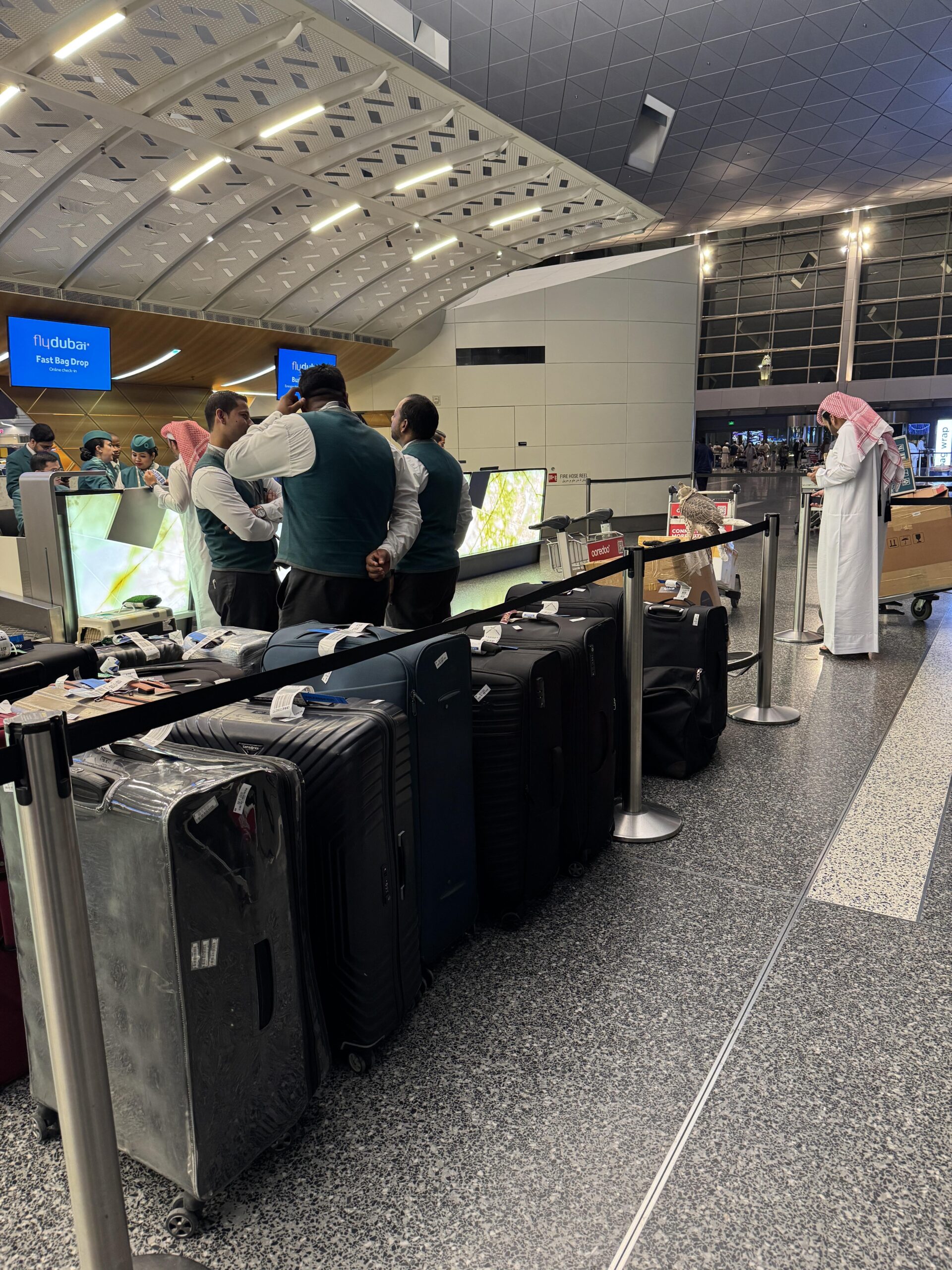 【速報】ドバイ行きフライト、前の客が荷物13個と鷹を連れてて草